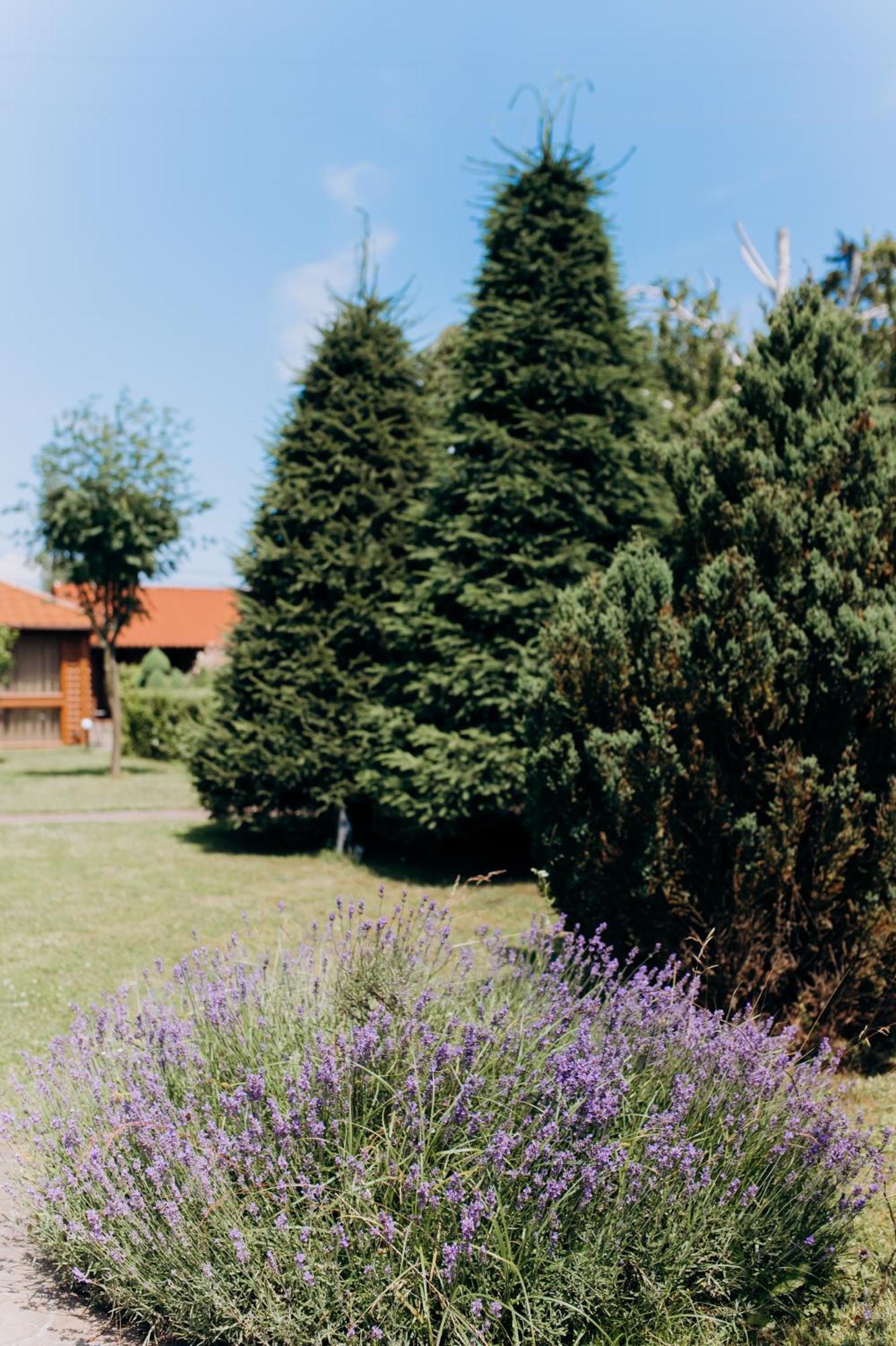 Arta City Hotel Yavoriv  Εξωτερικό φωτογραφία